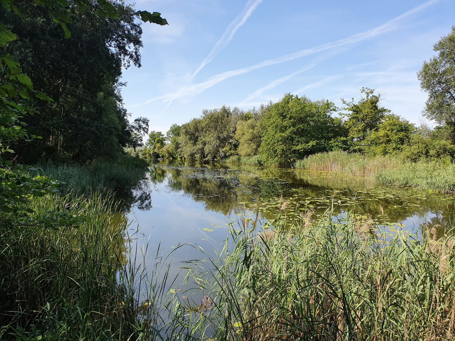 Die Donau so blau? Naturschutz im Donauraum. Eine Einladung.