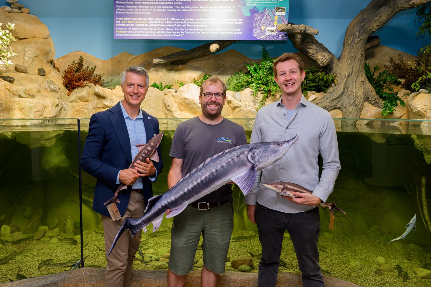 Eröffnung des Stör-Aquariums im Haus des Meeres
